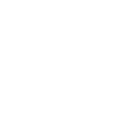 self-chain-public-4lf.pages.dev favicon